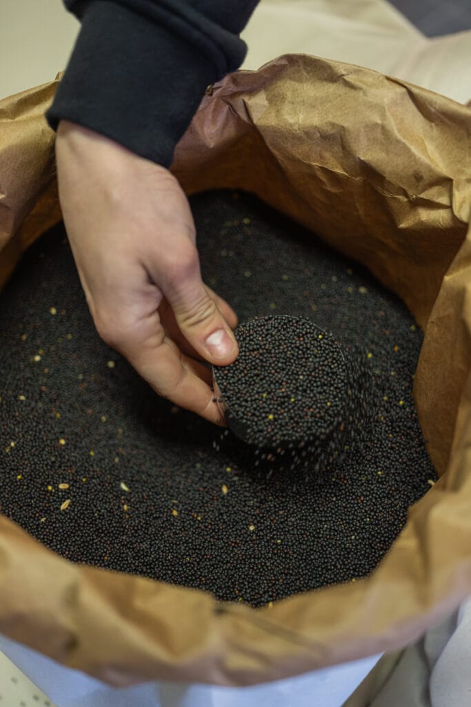 Naturligt rapsfrøfyld til RestfulBlanket tyngdedyner